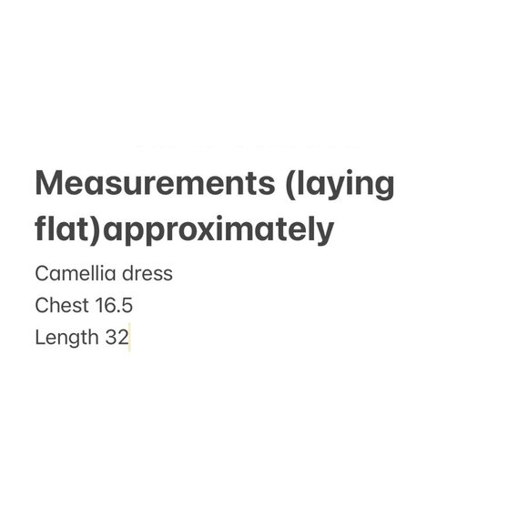 Camellia Embroidered 3D Floral Cottage Mini Dress Women Medium Cream Puff Sleeve - Picture 6 of 16